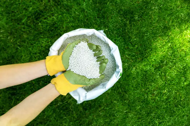 Reliable lawn fertilization in Murrieta, CA