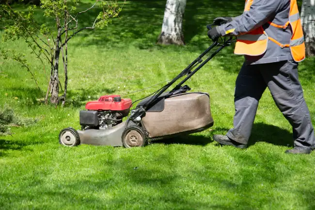 Reliable lawn mowing in Murrieta, CA