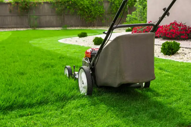 Trusted lawn mowing in Murrieta, CA