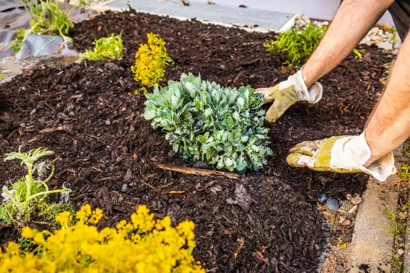 Professional mulching in Murrieta, CA