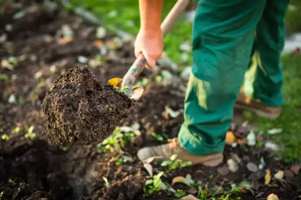 Outstanding mulching in Murrieta, CA