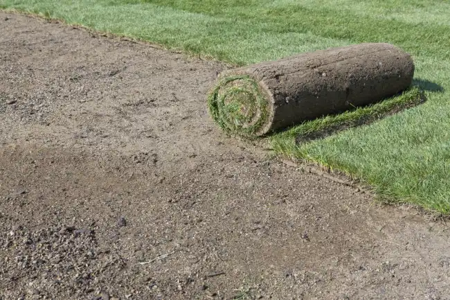 Reliable sod installation in Murrieta, CA