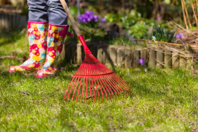 Reliable yard cleanup in Murrieta, CA