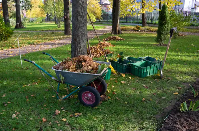 Yard Cleanup